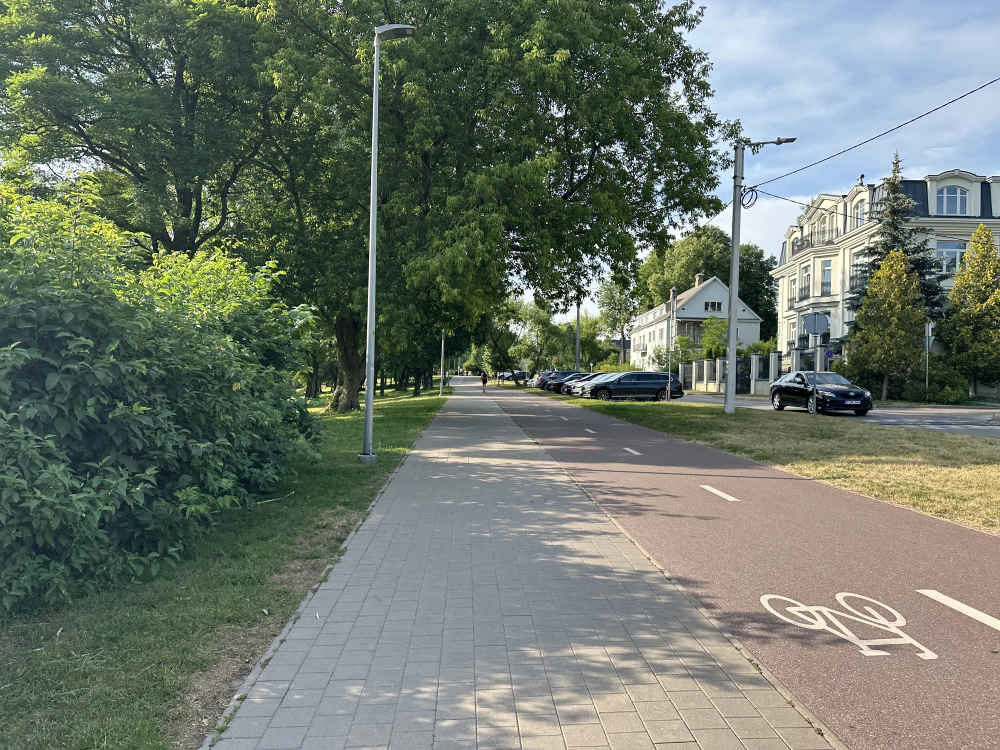 A paved pedestrian walkway next to a reddish asphalt bicycle lane with a painted bike symbol, lined with lush green trees on one side and residential buildings on the other under a bright sky.
