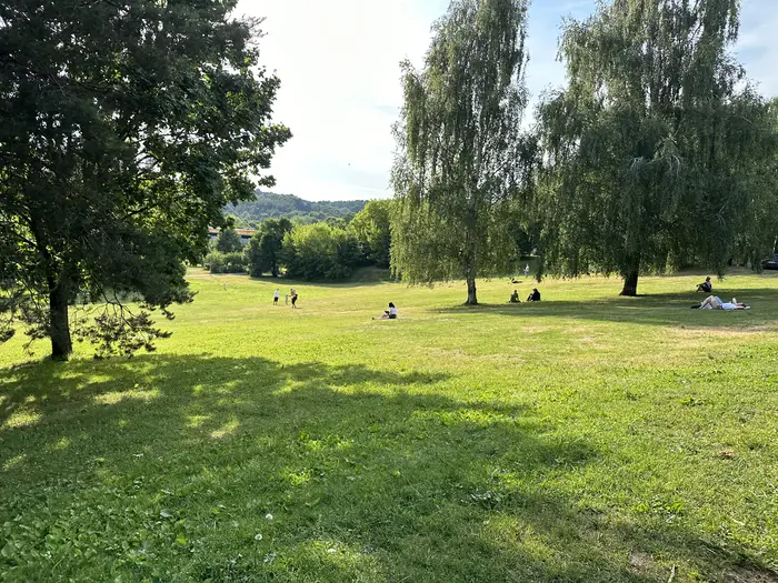 A wide green grassy meadow in a park under a bright sky, with scattered birch and deciduous trees casting shadows, and people relaxing in the distance.
