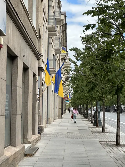A paved sidewalk on Gediminas Avenue in Vilnius, lined with green trees and buildings displaying Ukrainian flags, with a few pedestrians walking in the distance.