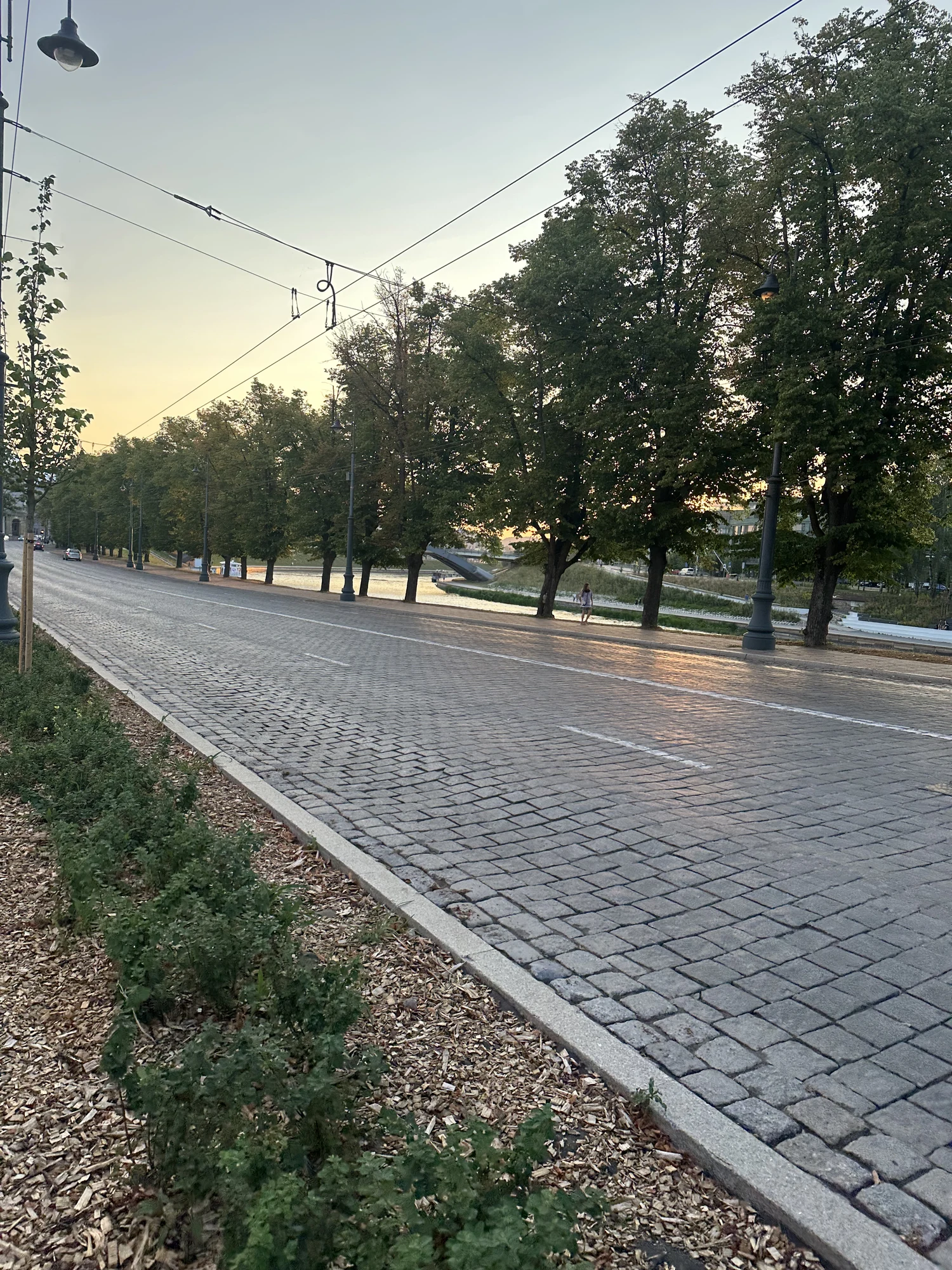 A wide cobblestone road in Vilnius lined with tall green trees and streetlights, with the Neris River visible in the background under a soft evening sky.