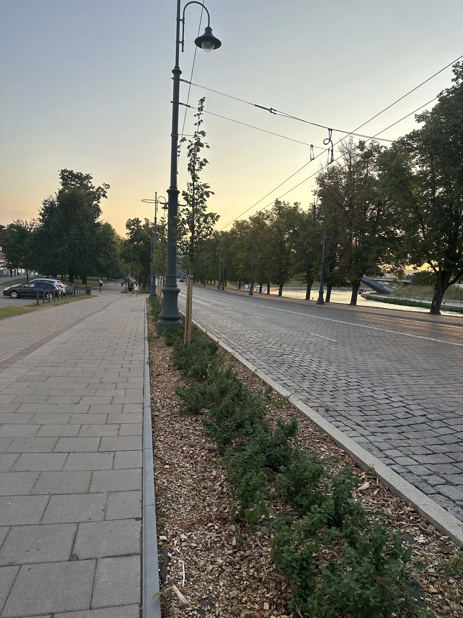 A cobblestone street and paved sidewalk lined with trees and lampposts next to the Neris River in Vilnius during sunset.