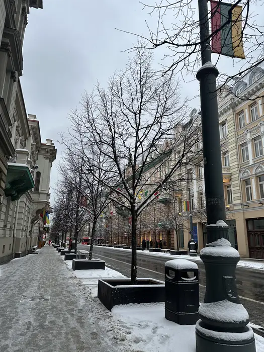 A snow-dusted sidewalk and street on Gediminas Avenue in Vilnius, Lithuania, lined with bare trees, classic European architecture, and Lithuanian flags under an overcast winter sky.