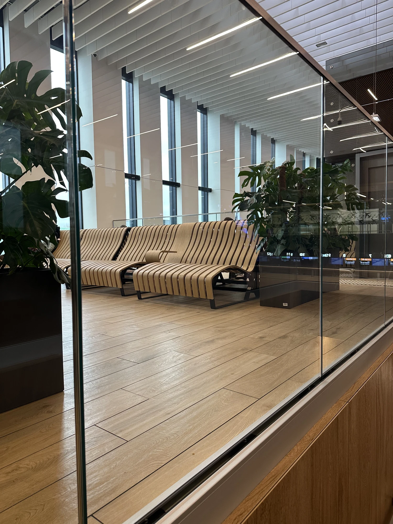 A modern airport waiting area with curved wooden slatted benches, large potted monstera plants, and light wood floors, viewed through a glass partition.