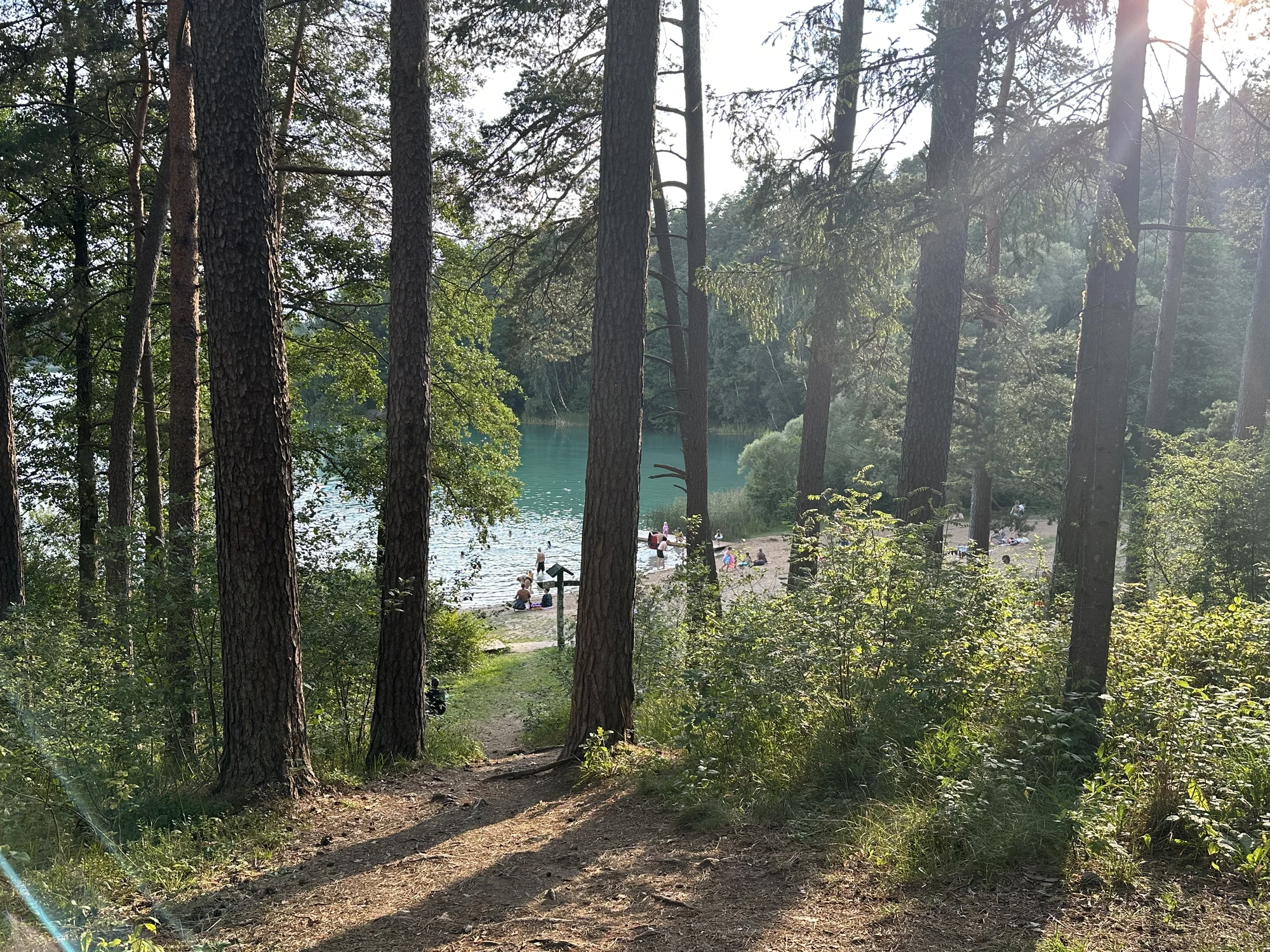View through tall pine trees looking down a path toward a turquoise lake beach with people swimming and sunbathing on a sunny day.