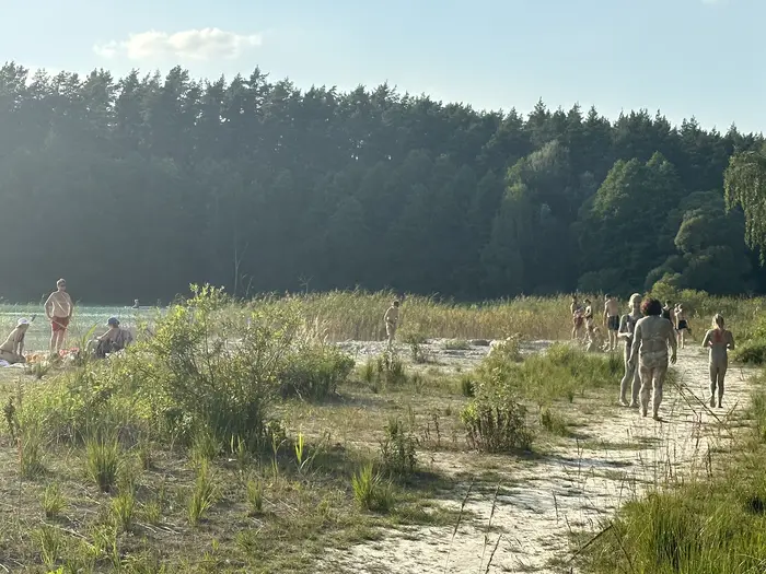 A sunny outdoor scene at a lake beach with people relaxing, walking, and enjoying the water, surrounded by green grass, reeds, and a dense pine forest in the background.