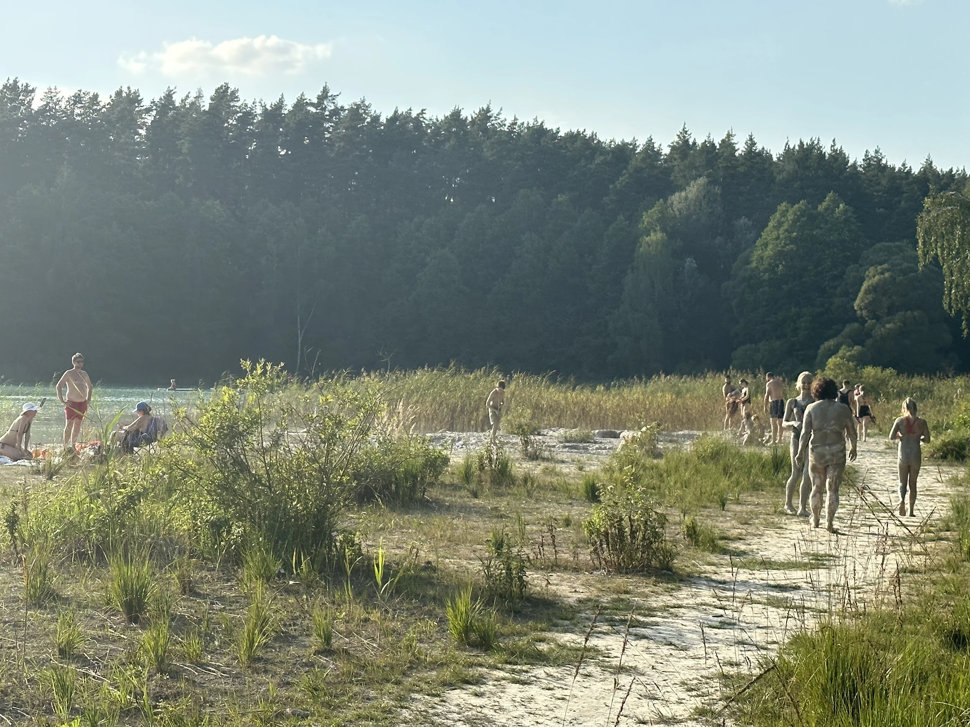 A sunny outdoor scene at a lake beach with people relaxing, walking, and enjoying the water, surrounded by green grass, reeds, and a dense pine forest in the background.