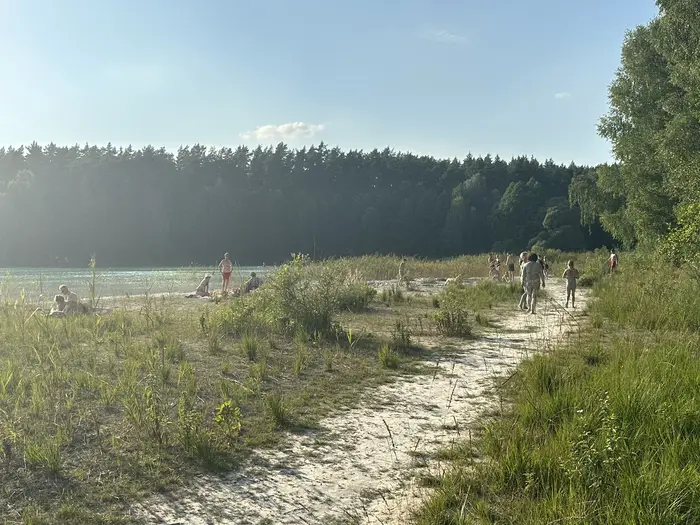 A sandy path leads towards a lake beach where people are sunbathing and swimming, bordered by green grass and a dense pine forest under a clear blue sky.