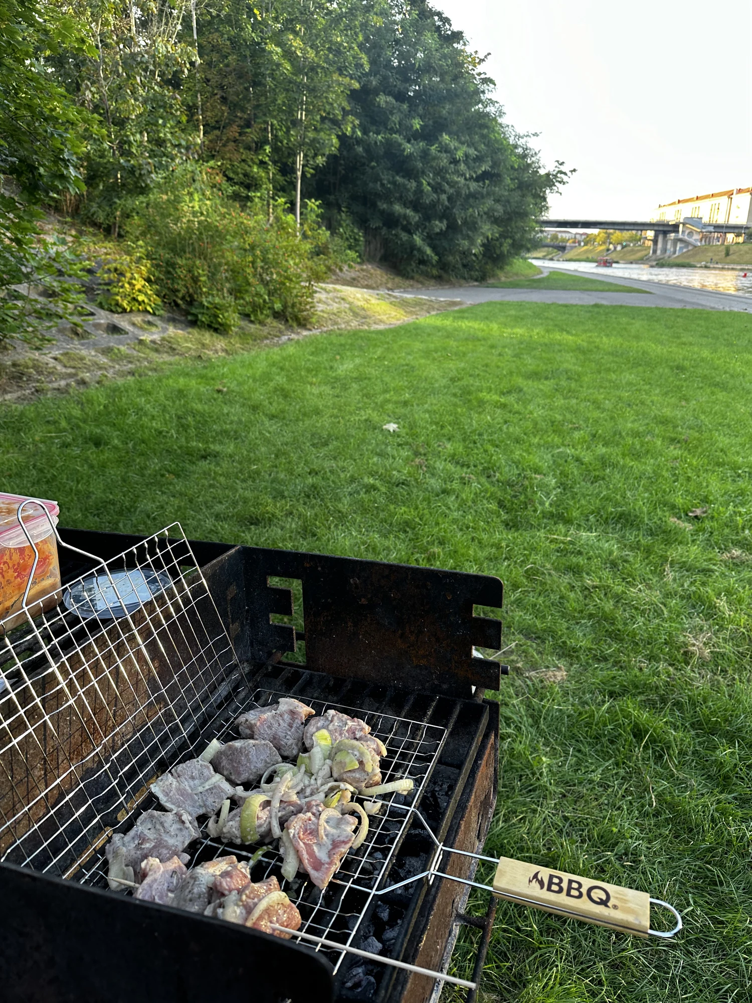 A close-up of meat and onions cooking in a grill basket over a charcoal barbecue, with a grassy riverbank and the Neris River in the background.